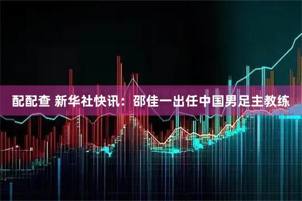 配配查 新华社快讯：邵佳一出任中国男足主教练
