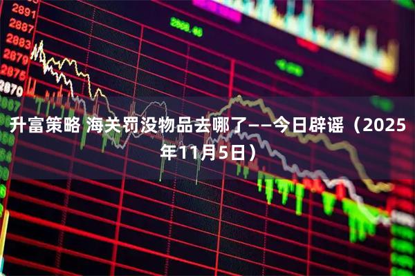 升富策略 海关罚没物品去哪了——今日辟谣（2025年11月5日）