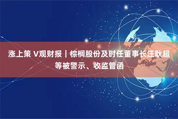 涨上策 V观财报｜棕榈股份及时任董事长汪耿超等被警示、收监管函