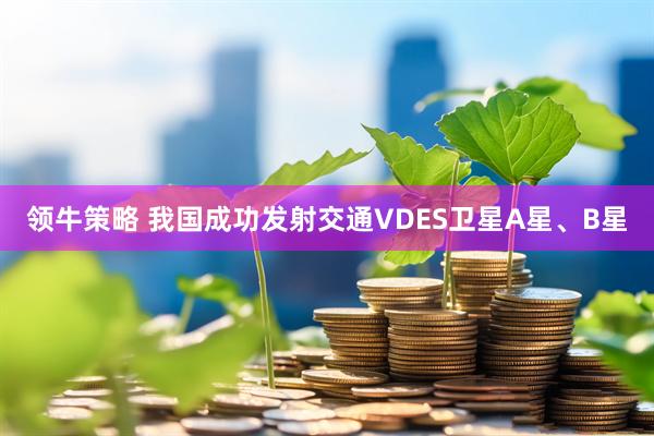 领牛策略 我国成功发射交通VDES卫星A星、B星