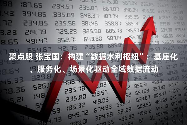 聚点股 张宝国：构建“数据水利枢纽”：基座化、服务化、场景化驱动全域数据流动