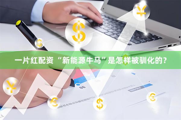 一片红配资 “新能源牛马”是怎样被驯化的？