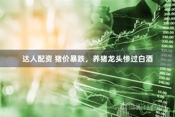 达人配资 猪价暴跌，养猪龙头惨过白酒